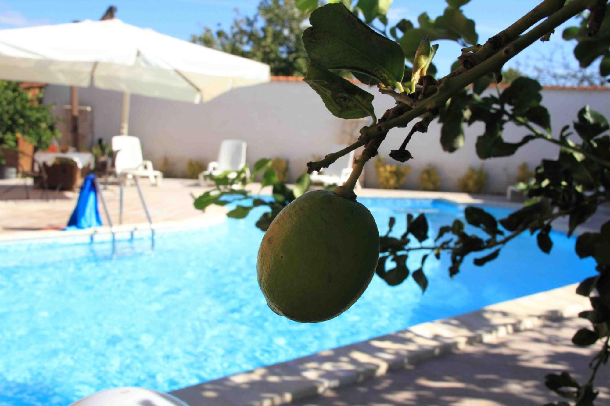 Il Quadrifoglio Bed and Breakfast Trapani Buitenkant foto